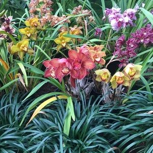 Meet your Posher, Mai